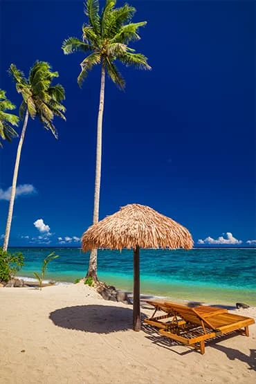 Plage de sable bordée de palmiers, d’un parasol de chaume et de transats.